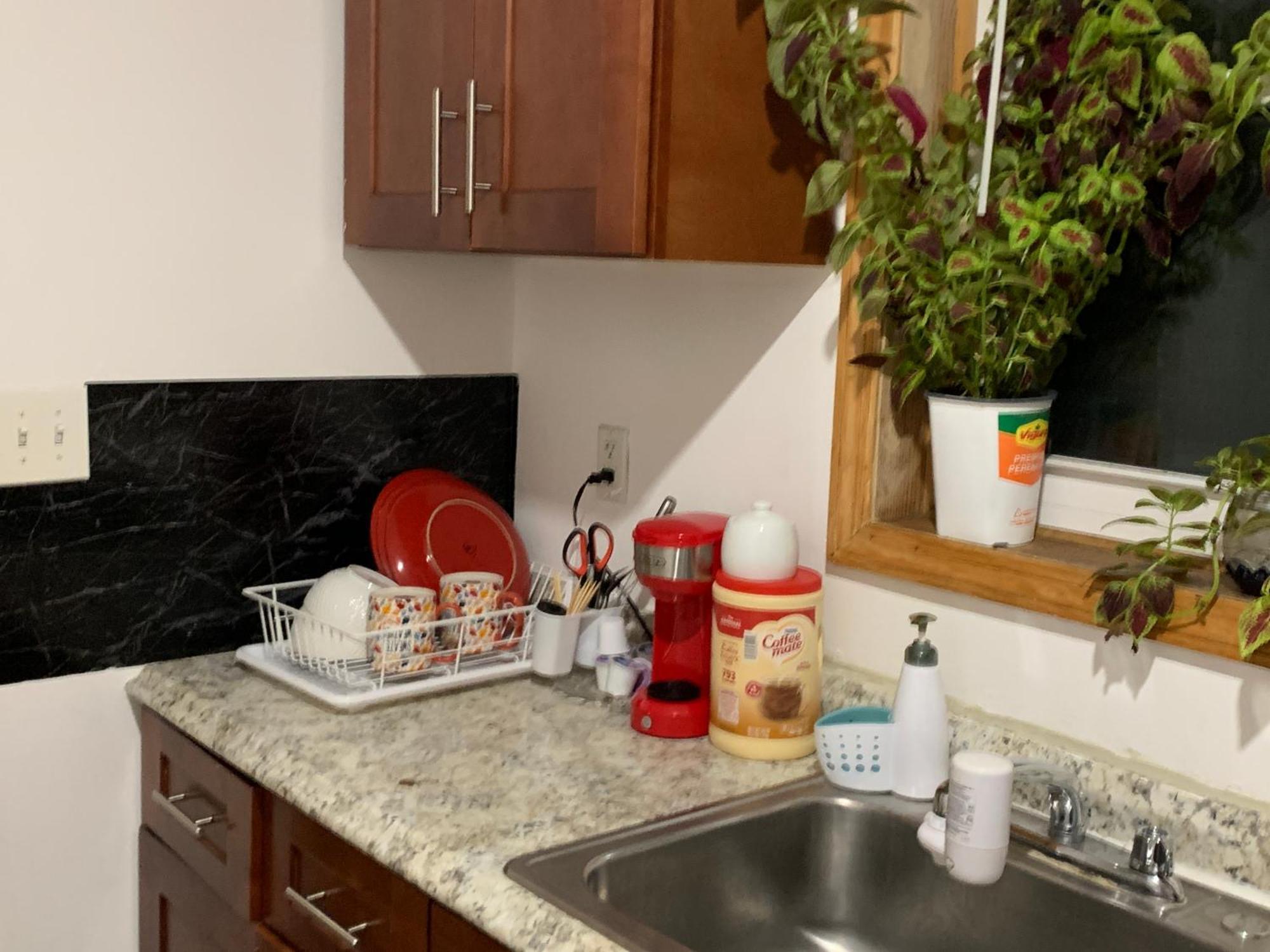 ניו יורק 2265 Bruckner Blvd Apartments מראה חיצוני תמונה